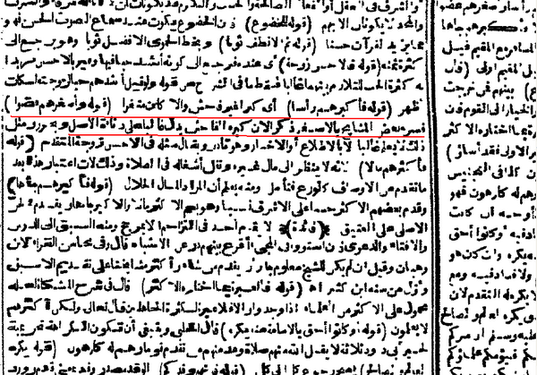 نقرتين لعرض الصورة في صفحة مستقلة
